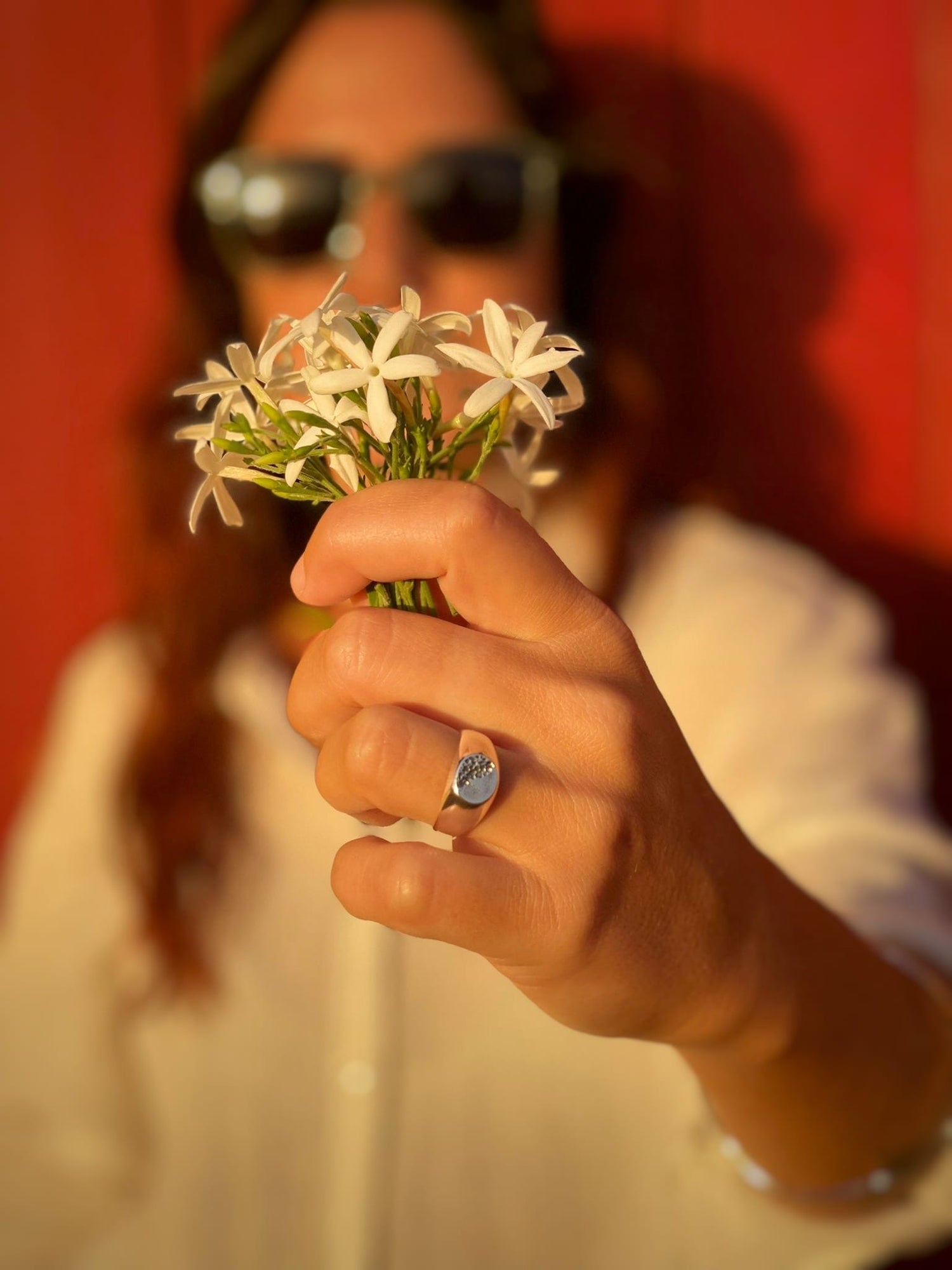 Anillos